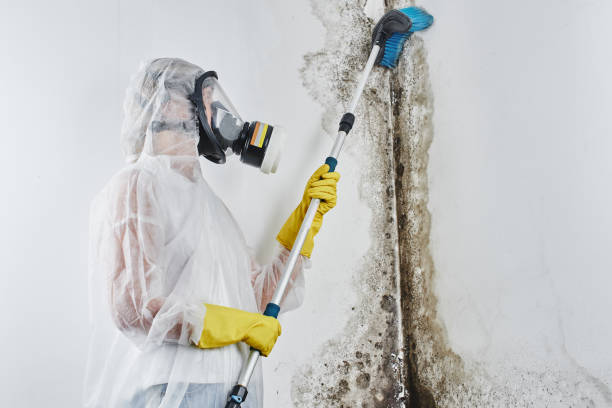 Crawl Space Mold Removal in Independence, KS