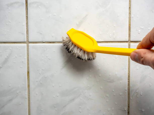Certified Mold Removal in Independence, KS