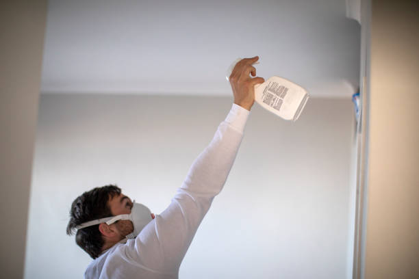 Best Mold Testing  in Independence, KS