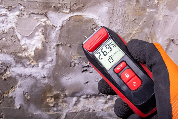 Trusted Independence, KS Mold Removal Experts